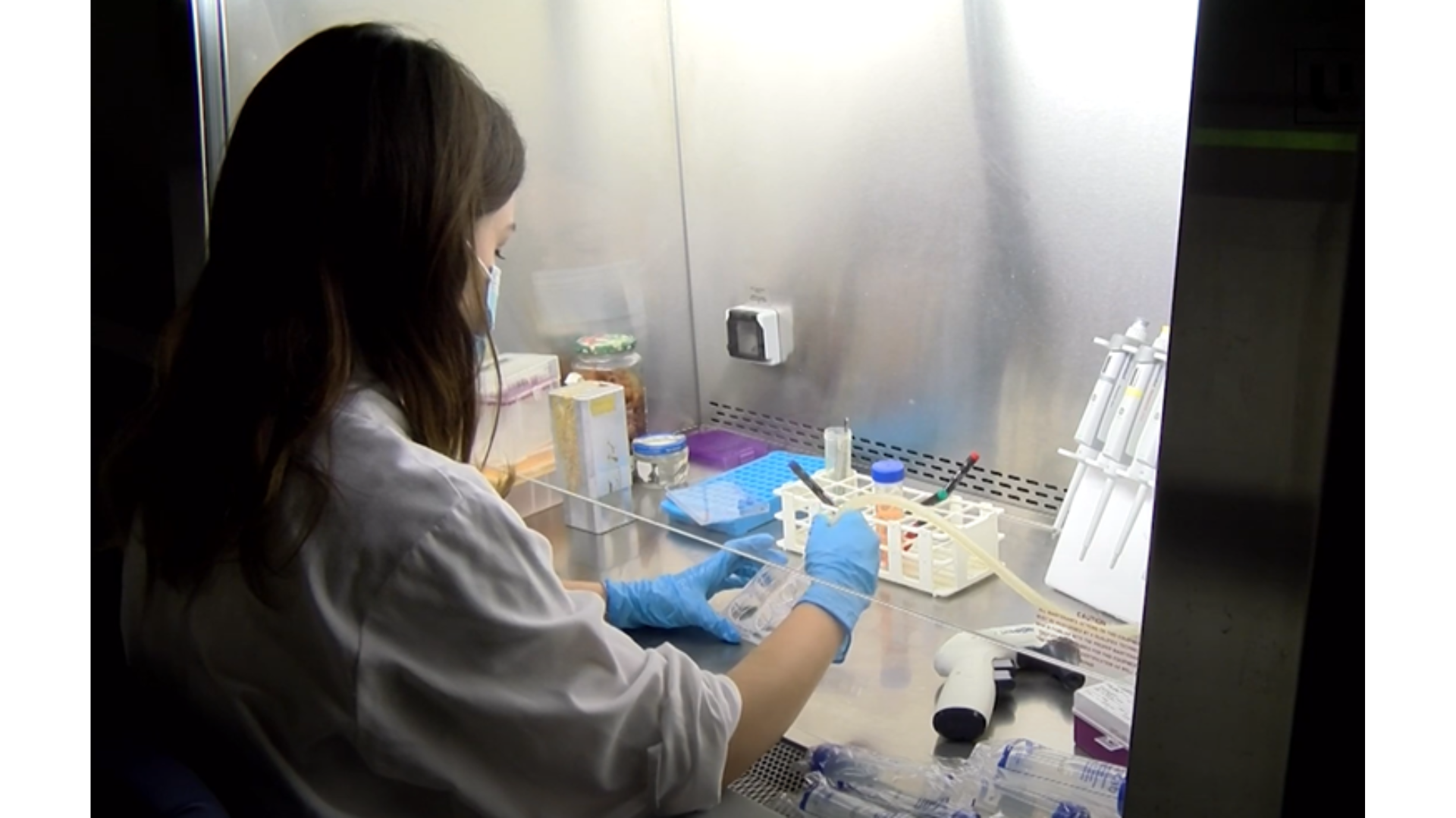 Chica joven investigando en el laboratorio