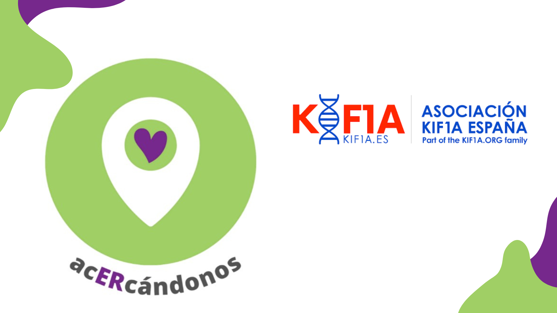 Acercandonos a la Asociación KIF1A España de afectados por Mutaciones en el Gen KIF1A