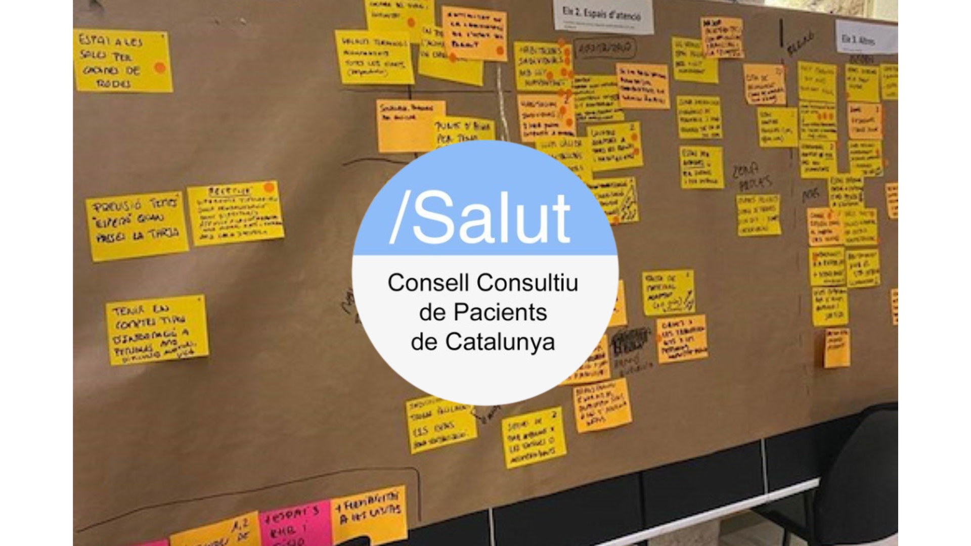 Salut Consell Consultiu