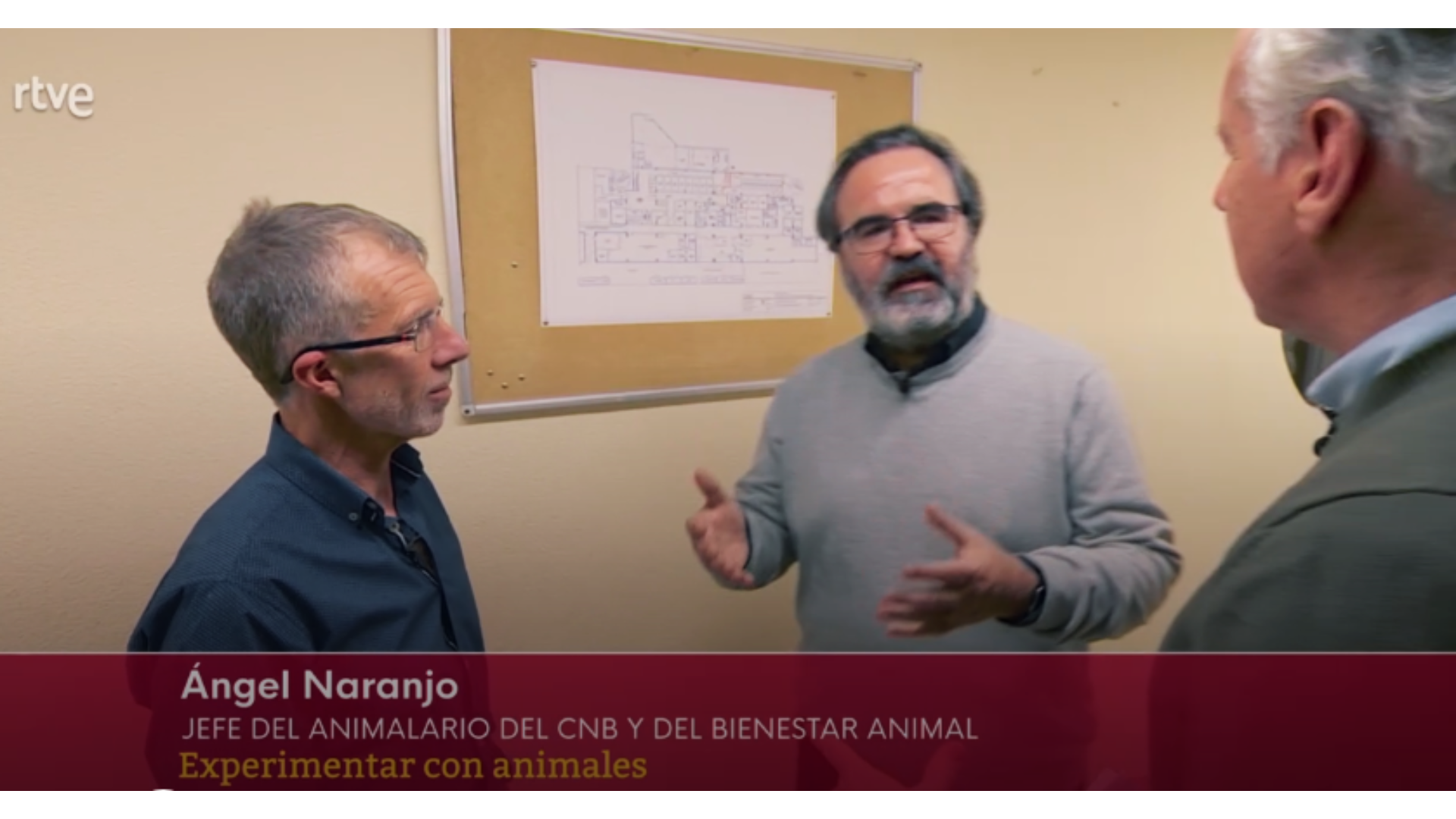 Ángel Naranjo, responsable animalario del CNB