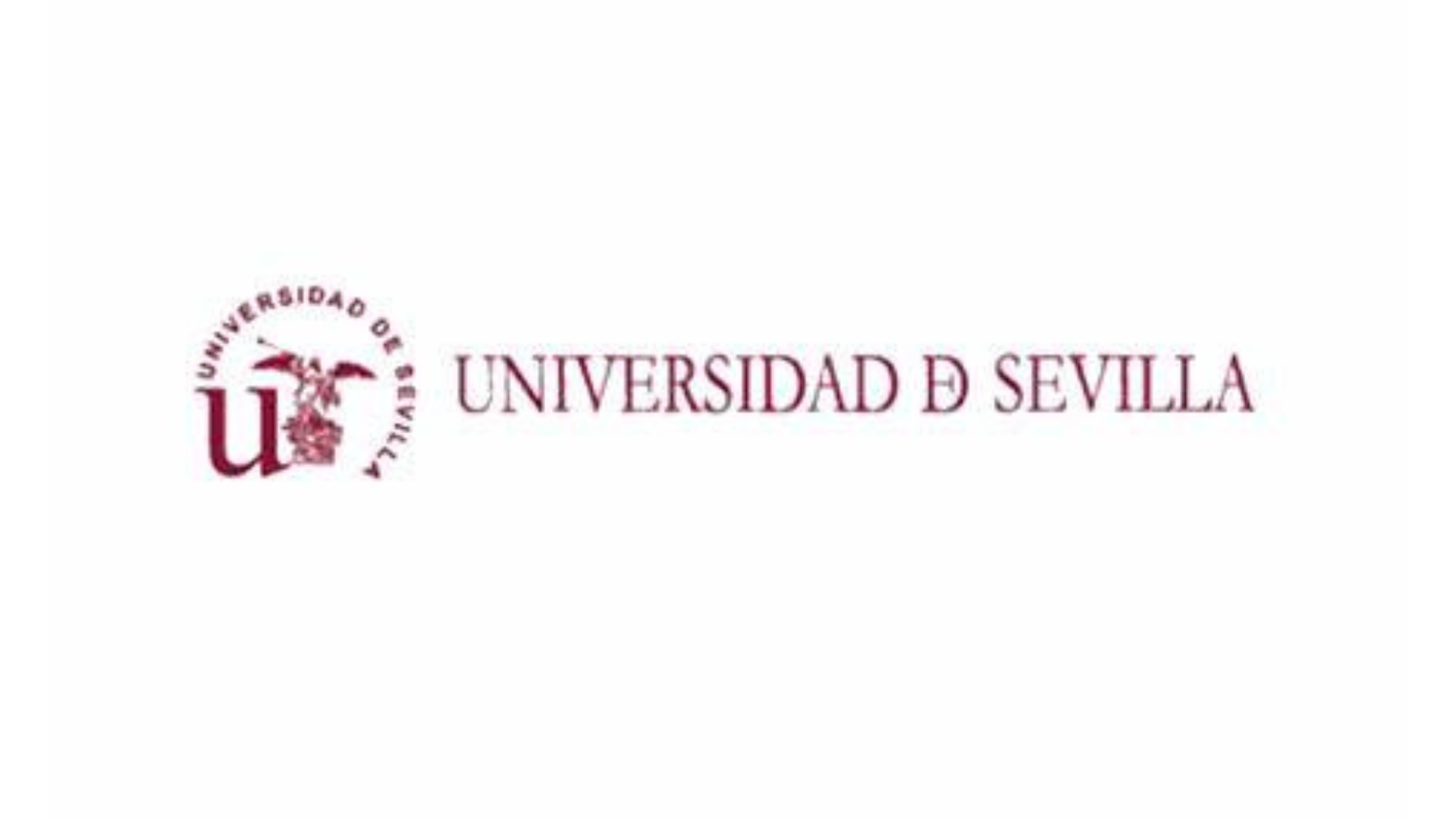 Universidad de Sevilla