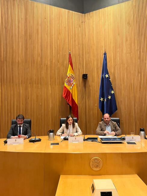Ponentes de la mesa 'Retos y oportunidades para España, ante un Plan Europeo en ER'