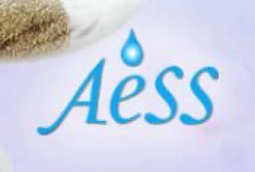 Logotipo AESS
