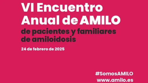 VI encuentro anual amilo