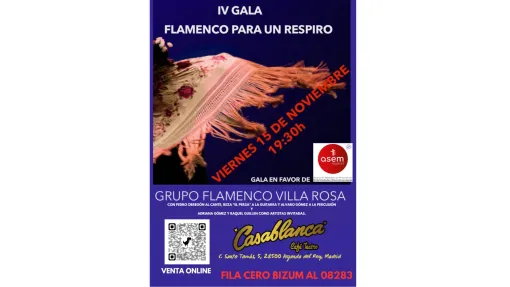 Flamenco para un Respiro