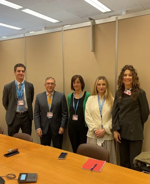 Representantes de FEDER y la Representación Permanente de España en ONU y OOII.