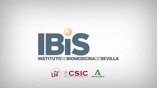 IBIS Sevilla