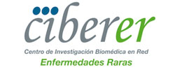 Logotipo de Ciberer